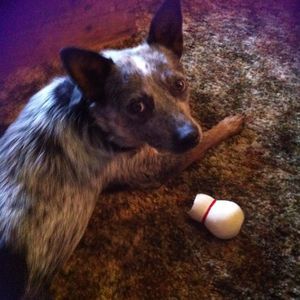 Meet your Posher, Rita